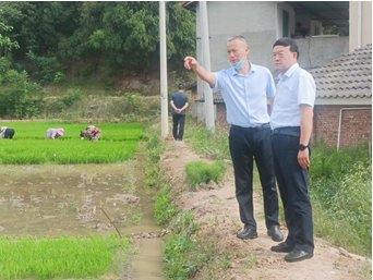 “三抓三促”進(jìn)行時 | 強(qiáng)化落實(shí)解難題 激活企業(yè)促發(fā)展——公司董事長劉興斌一行赴武漢敦煌種業(yè)有限公司進(jìn)行調(diào)研