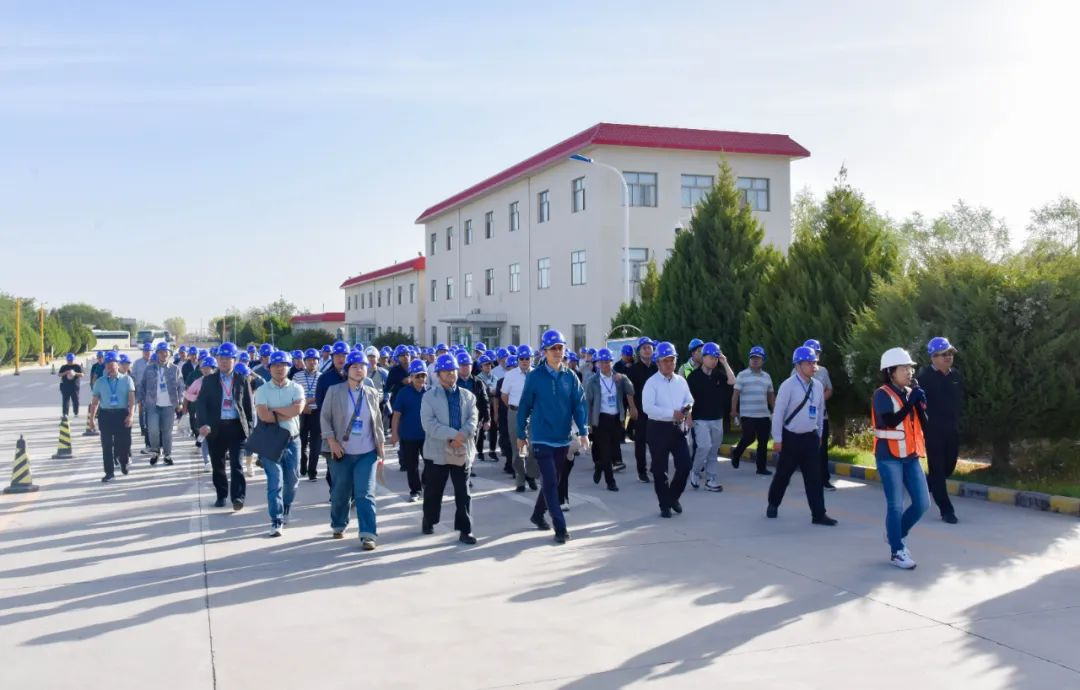 敦煌種業(yè)召開2023年全國玉米遺傳育種學術研討會田間觀摩會